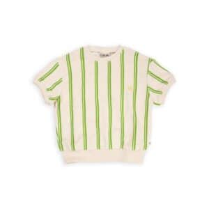 CarlijnQ sweater stripes green