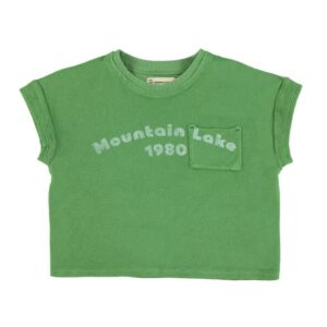 Piupiuchick shirt green mountain lake