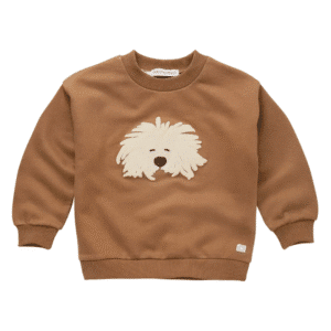Sproet & Sprout sweater moustache dog brown