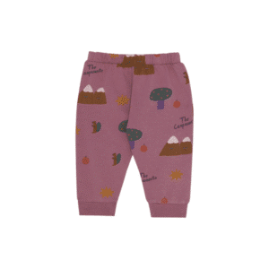 The Campamento baby jogger mountains
