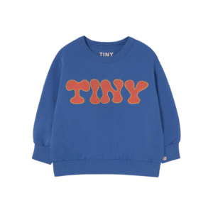 Tinycottons sweater waves red blue